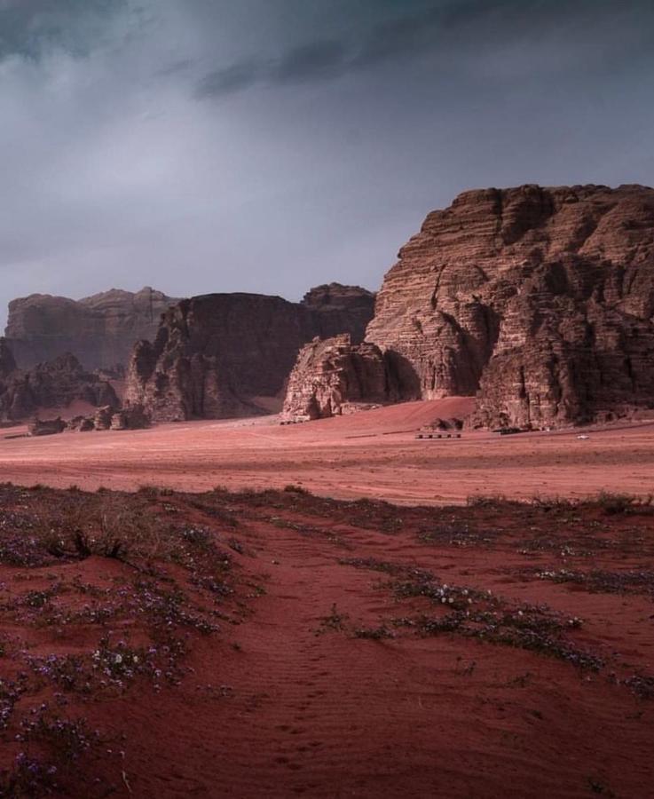 Wadi Rum Camp Zewnętrze zdjęcie