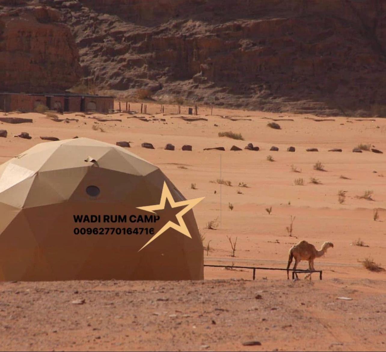 Wadi Rum Camp Zewnętrze zdjęcie